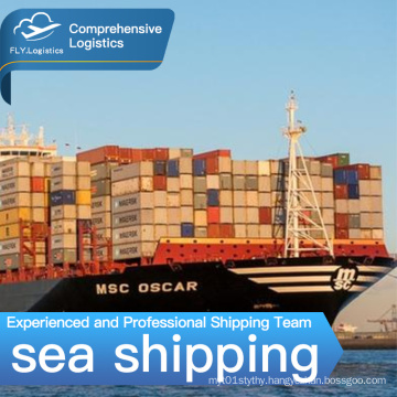 sea freight lcl china to USA EU CA sea agents service fba cheap shipping rates cheapest ocean transportation